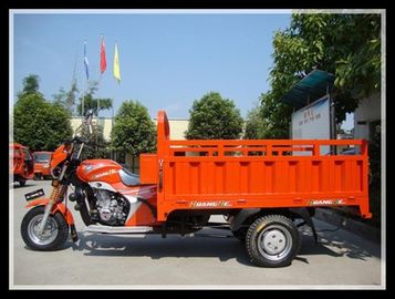 Triciclo motorizado da carga 250CC, tipo de corpo aberto da motocicleta da roda do chinês 3