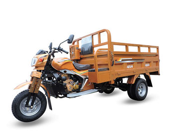 O transporte luxuoso motorizou o triciclo da carga/motocicleta automática 250cc de 3 rodas