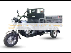 Triciclo de carga motorizado de três rodas 175CC Ar de arrefecimento CDI ignição