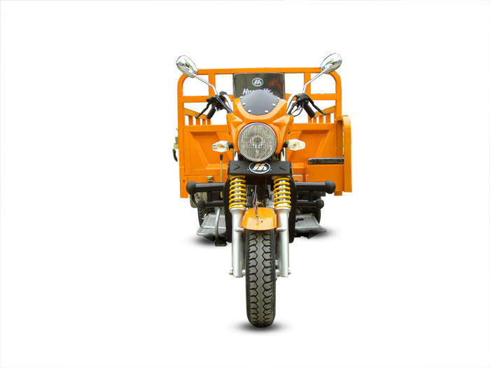 Shuiyin motorizou o gás da motocicleta da roda de Trike 250cc três da carga ou o combustível da gasolina