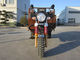 Motocicleta dourada da carga da roda da cor três para a equitação interurbana
