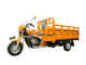 Shuiyin motorizou o gás da motocicleta da roda de Trike 250cc três da carga ou o combustível da gasolina